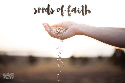 Seeds of Faith - Illustrated Faith - Illustrated Faith