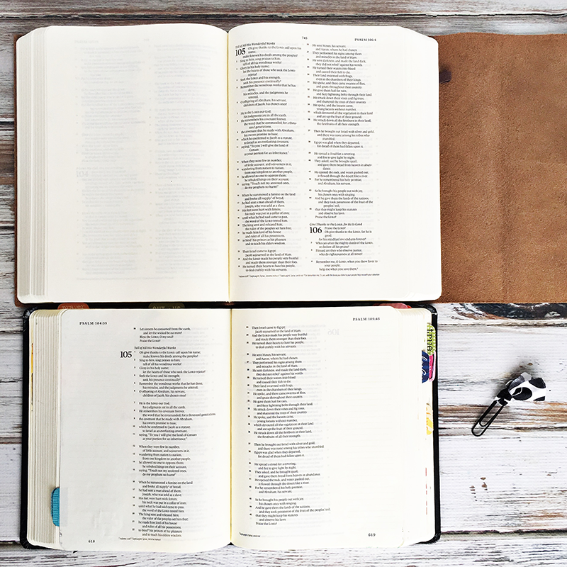 esv bible with tabs